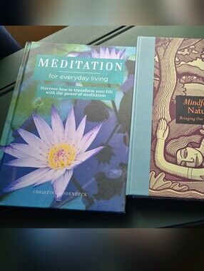 Meditation for Everyday Living And MINDFULNESS book Bundle